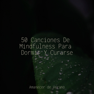 Ecos Entre los Campos