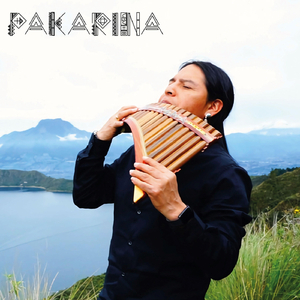 The Song of the Ocarina