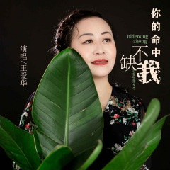 你的命中不缺我 (DJ默涵版伴奏)