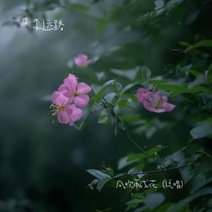 风吹雨成花 (说唱)