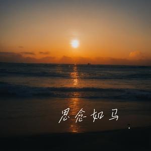 思念如马未停蹄（2024）