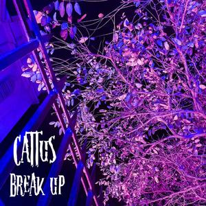 Break up