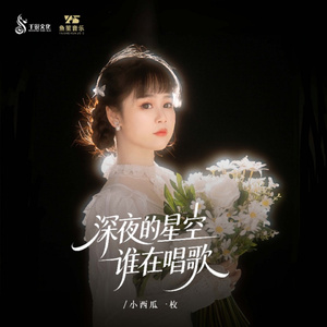 深夜的星空谁在唱歌