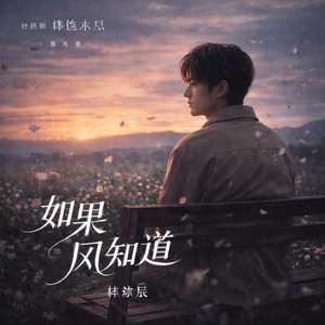 《如果风知道》— 电视剧《晚风与遗憾》主题曲