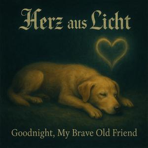 Goodnight, My Brave Old Friend