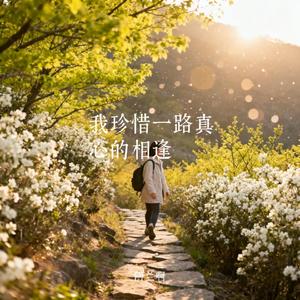 我珍惜一路真心的相逢