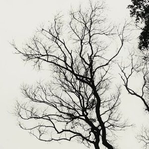 晚风吹过旧月台
