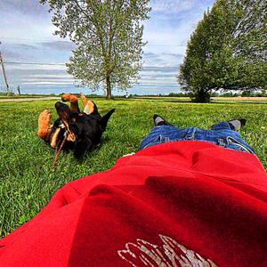 I G0T 4LL D1$ M0N3Y [$]