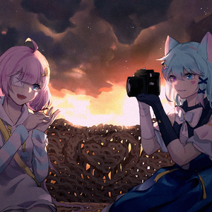 Polaroid（中文版）