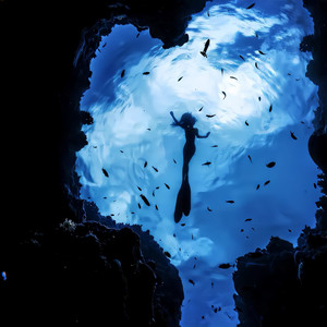 Музыка для собак 0.8