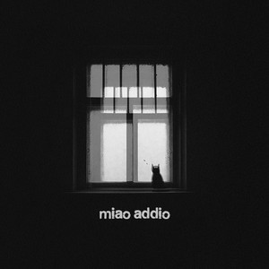 miao addio