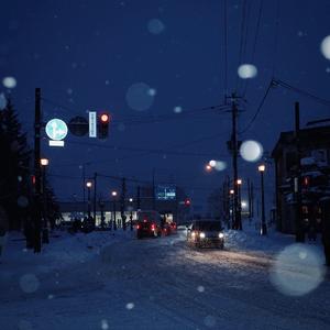 初雪落下