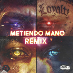 Metiendo Mano (Remix)