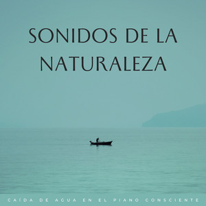Sonata De Concentración En La Naturaleza