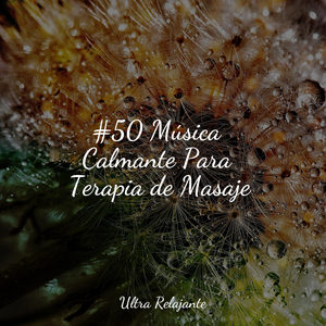 Hamaca En Los Árboles