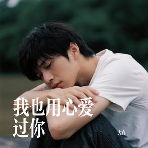 我也用心爱过你