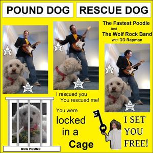 Pound Dog (feat. The Wolf Rock Band) (A rescued from the pound dog is the best kind of hound dog!)
