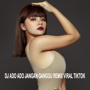 Dj Ado Ado Jangan Ganggu Viral TikTok