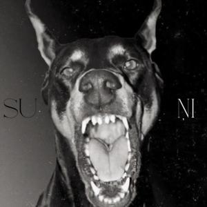 Suņi (feat. Cykababy, Gengaarz & Pajūgs)