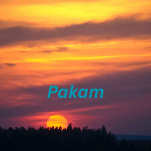 Pakam