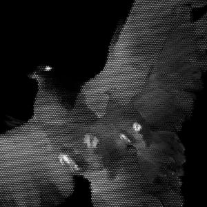 TOMMY G/ W KISONN (feat. Kisonn)