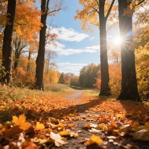 秋天渐近思无涯