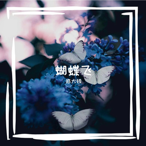 蝴蝶飞