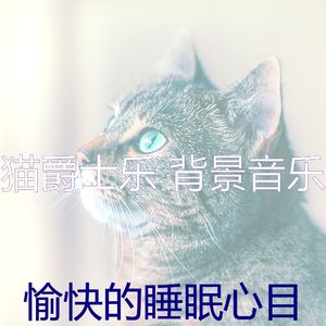 抚慰的睡眠回忆