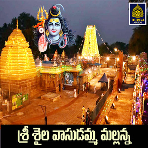 Srisaila Vasudamma Mallanna