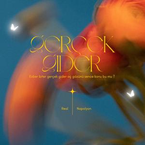 Gerçek Gider