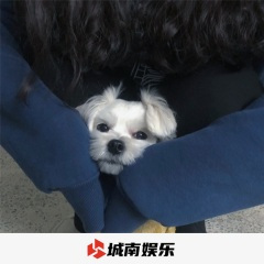 五菱神车专用 (DJ版)