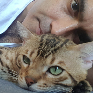 כנפי שכינת האל