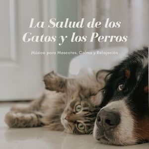 Música para Perros