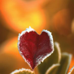A Person Like You (Does Not Deserve)