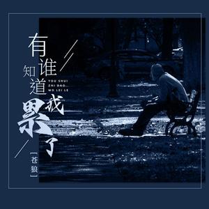 有谁知道我累了