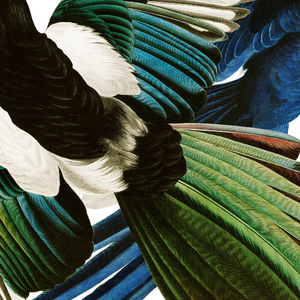 Du Schicksch Sibä Smileys