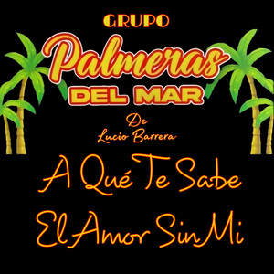 A Que Te Sabe El Amor Sin Mí