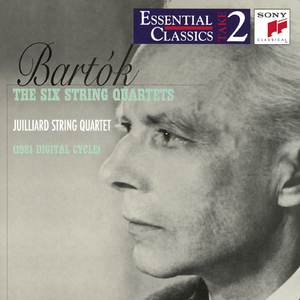 String Quartet No. 5, Sz. 102, BB 110:I. Allegro