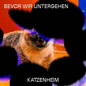 Bevor wir untergehen