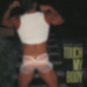 Touch My Body (Remix)