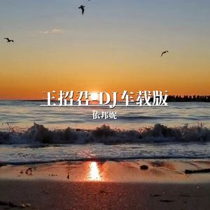 王招君 (DJ版)