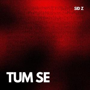 Tum Se