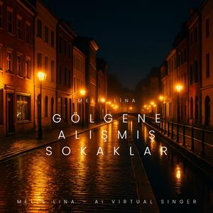 Gölgene Alışmış Sokaklar