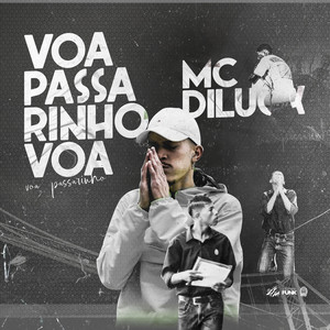 Voa Passarinho Voa