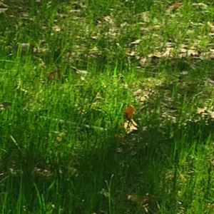 Jerk x Ledbyher type beat - April