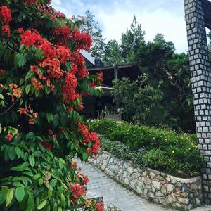 奶茶味饼干(prod by.Noden)