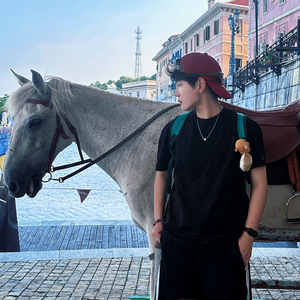 落叶无情倦鸟有意