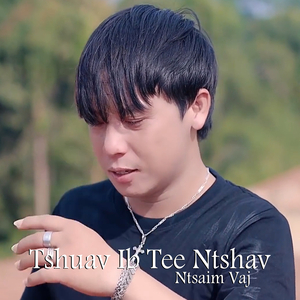 Tshuav Ib Tee Ntshav
