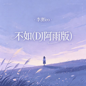 不如(DJ阿雨版)