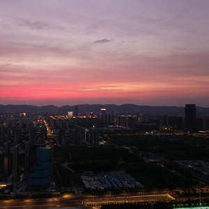 南京的梧桐和北方的你